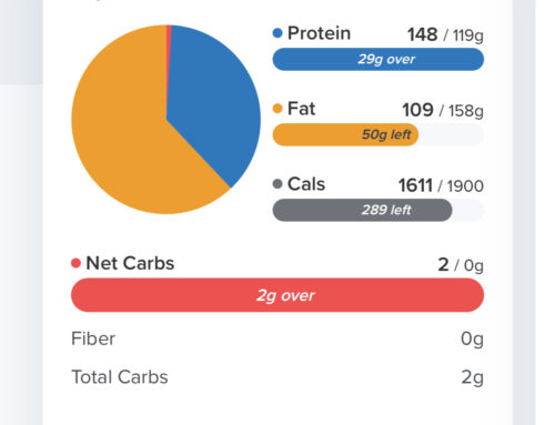 I started tracking my food and it changed EVERYTHING