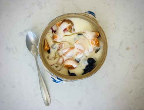 Diet Dogma // Weight Loss after Carnivore, Defense Mechanisms and braving Change.