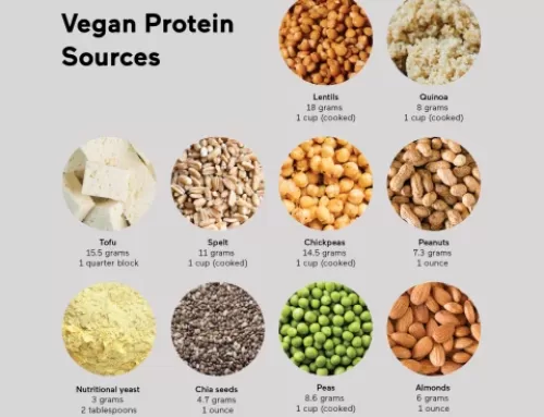 Vegan Protein Sources